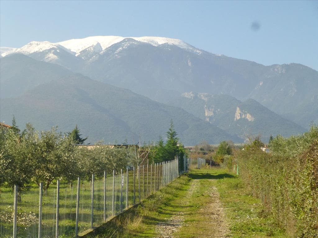 For Sale Land 4000 m² on the Olympic Coast