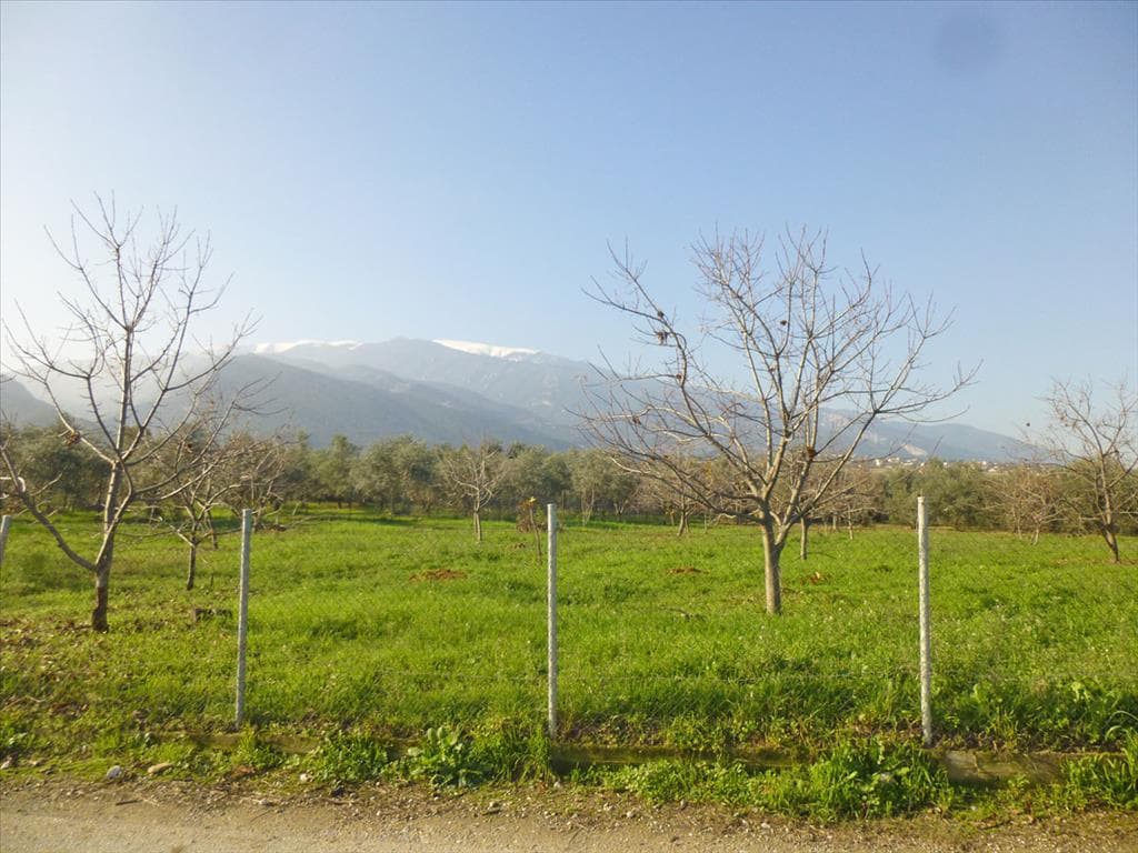 For Sale Land 10000 m² on the Olympic Coast