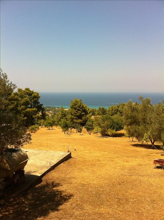 For Sale Land 12200 m² in Kassandra, Chalkidiki