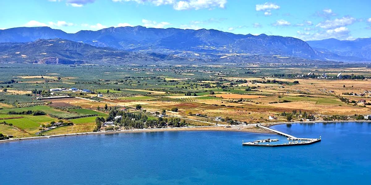 For Sale Land 14756 m² in central Greece