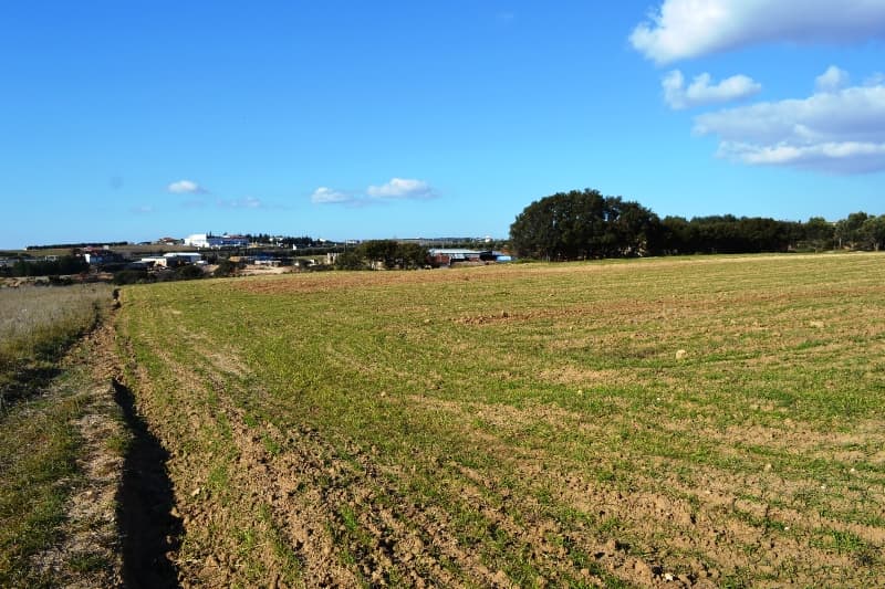 For Sale Land 5800 m² in the suburbs of Thessaloniki