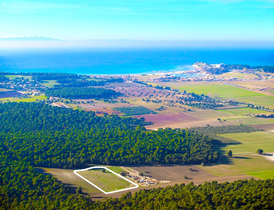 For Sale Land 16000 m² in Kassandra, Chalkidiki