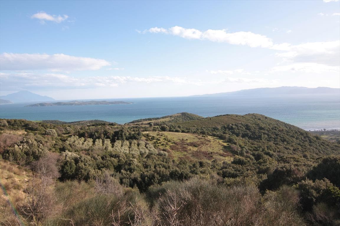 For Sale Land 12000 m² in Athos, Chalkidiki