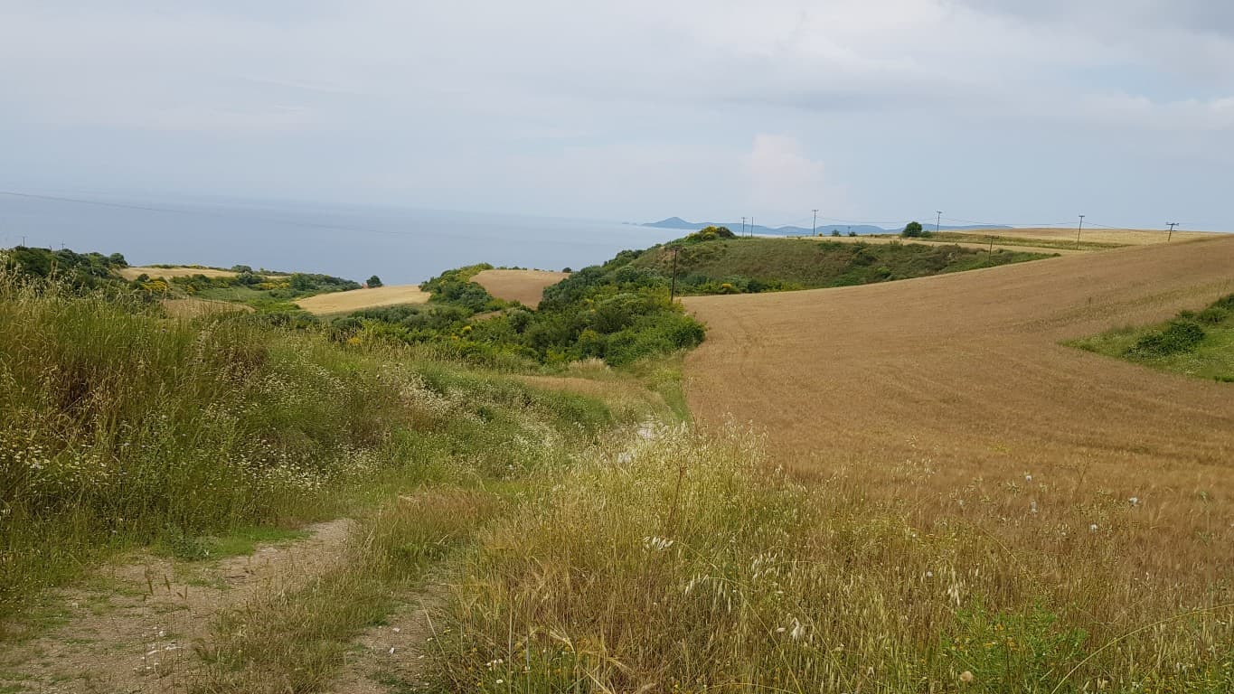 For Sale Land 7000 m² in Athos, Chalkidiki