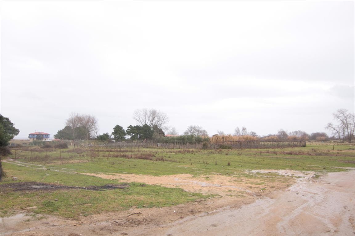 For Sale Land 2500 m² in Athos, Chalkidiki