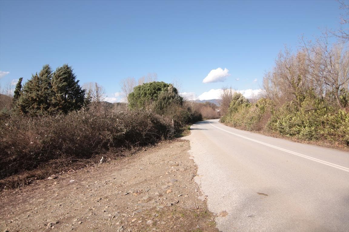 For Sale Land 4500 m² in Athos, Chalkidiki