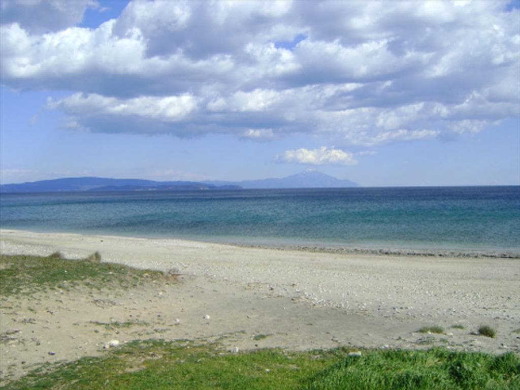 For Sale Land 6000 m² in Athos, Chalkidiki