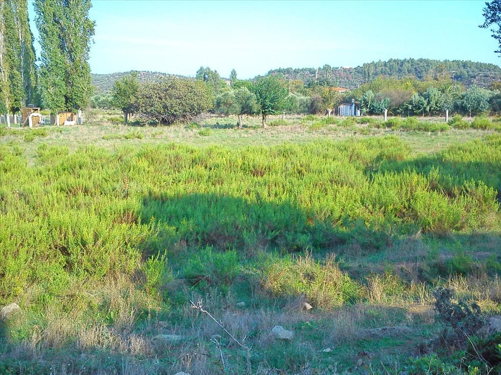 For Sale Land 3200 m² in Sithonia, Chalkidiki
