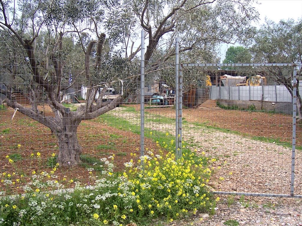 For Sale Land 1200 m² on the Euboea island
