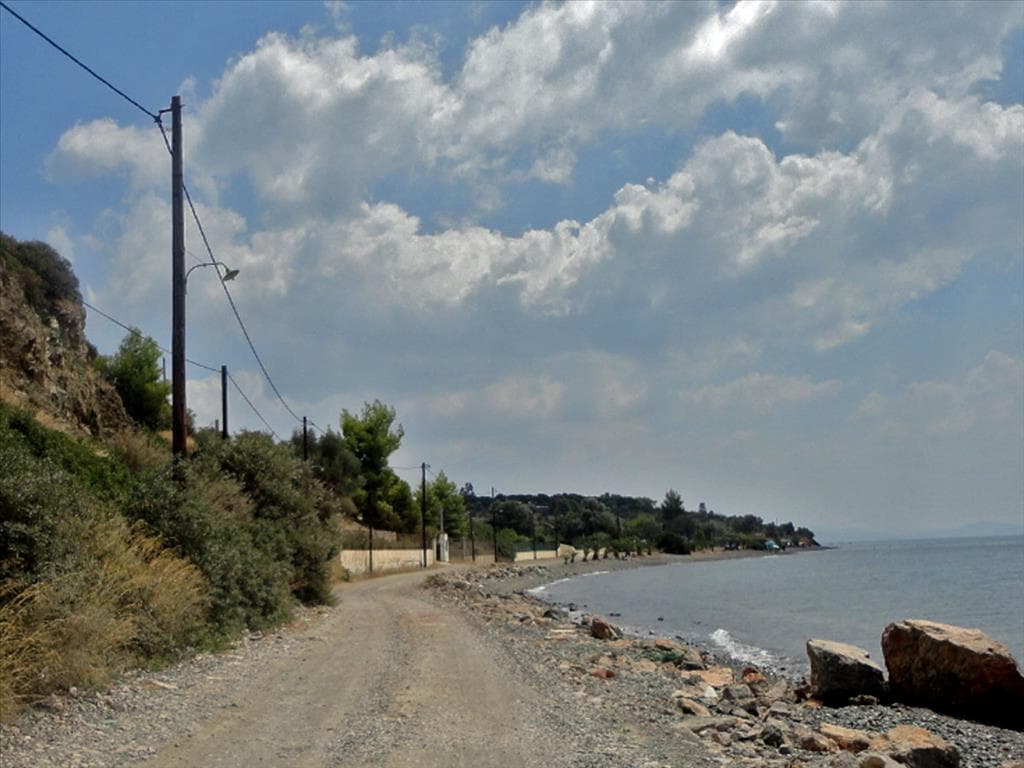 For Sale Land 6500 m² on the Euboea island