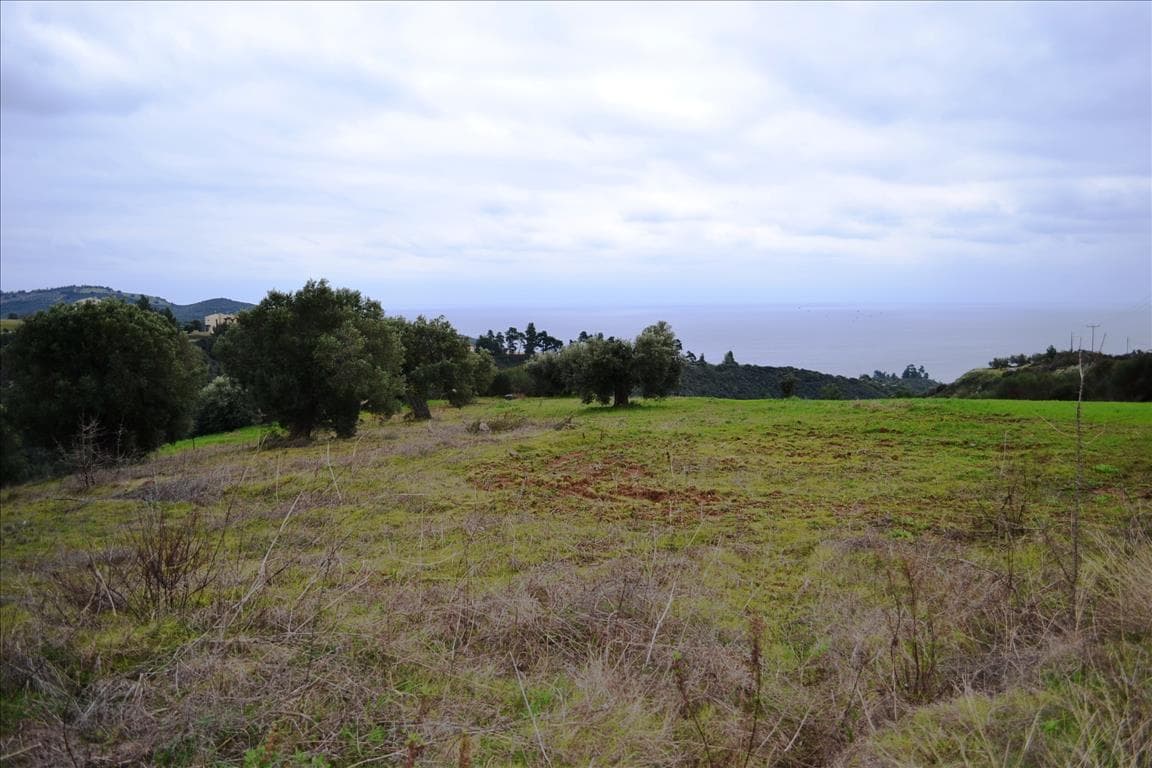 For Sale Land 9500 m² in Kassandra, Chalkidiki