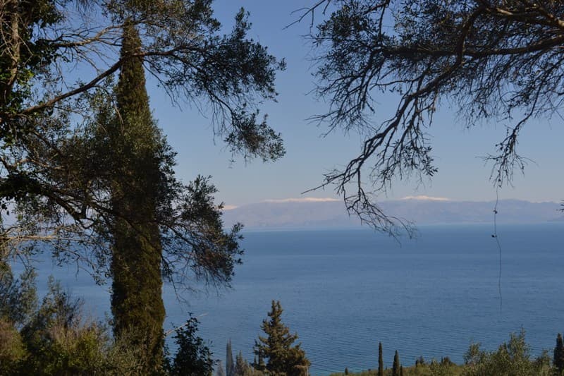 For Sale Land 8000 m² in Corfu
