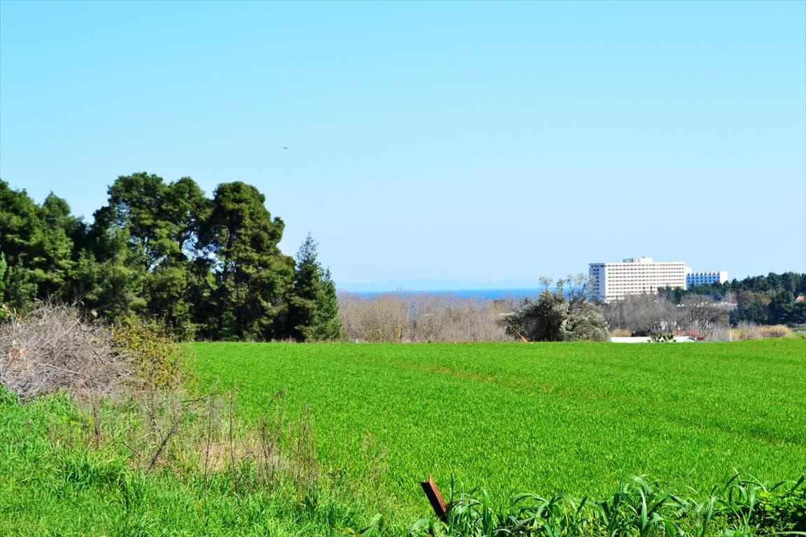 For Sale Land 10800 m² in Kassandra, Chalkidiki