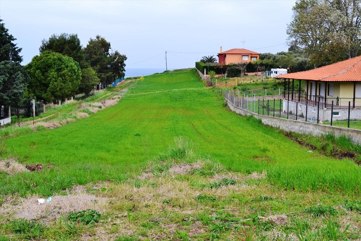 For Sale Land 3050 m² in Kassandra, Chalkidiki