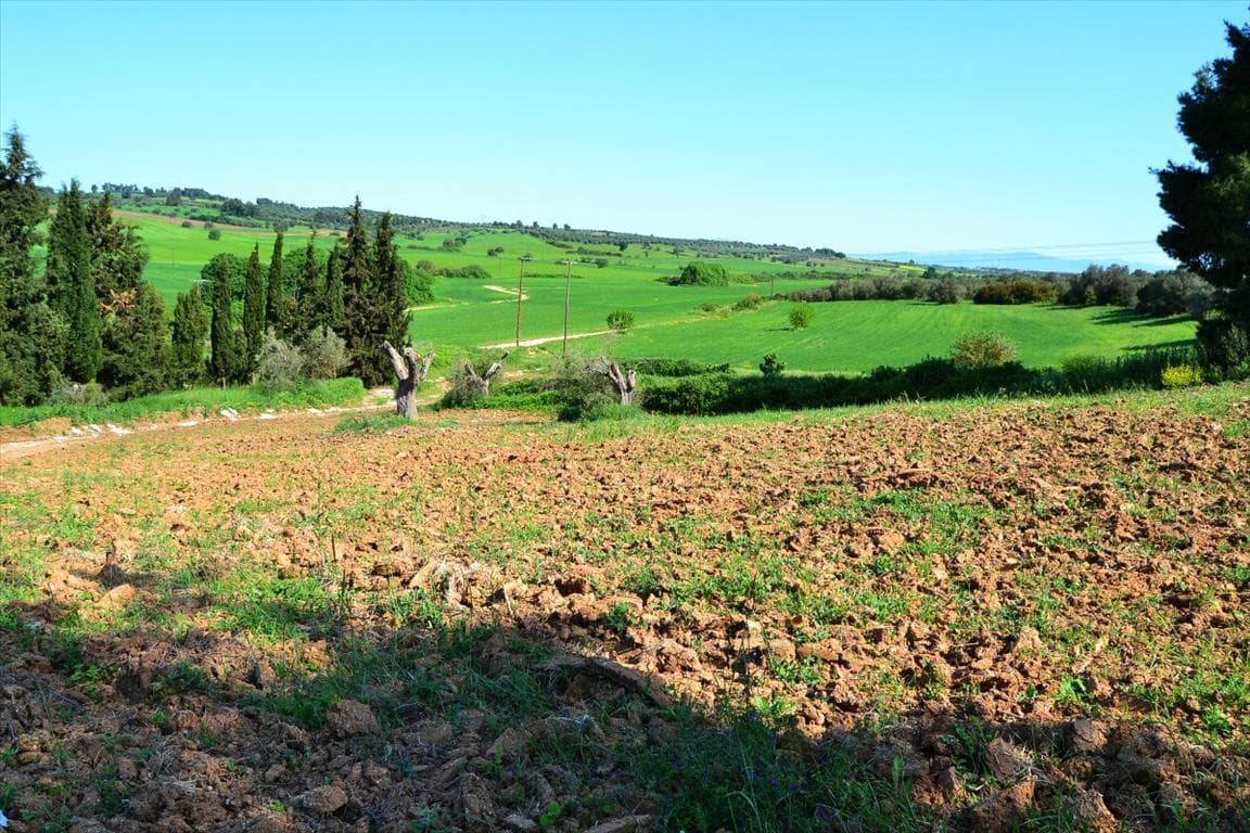 For Sale Land 4000 m² in Kassandra, Chalkidiki