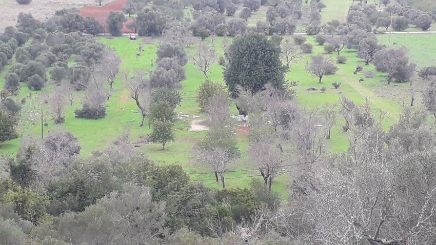 3760 m² Development Plot in the Scenic Paderne, Albufeira