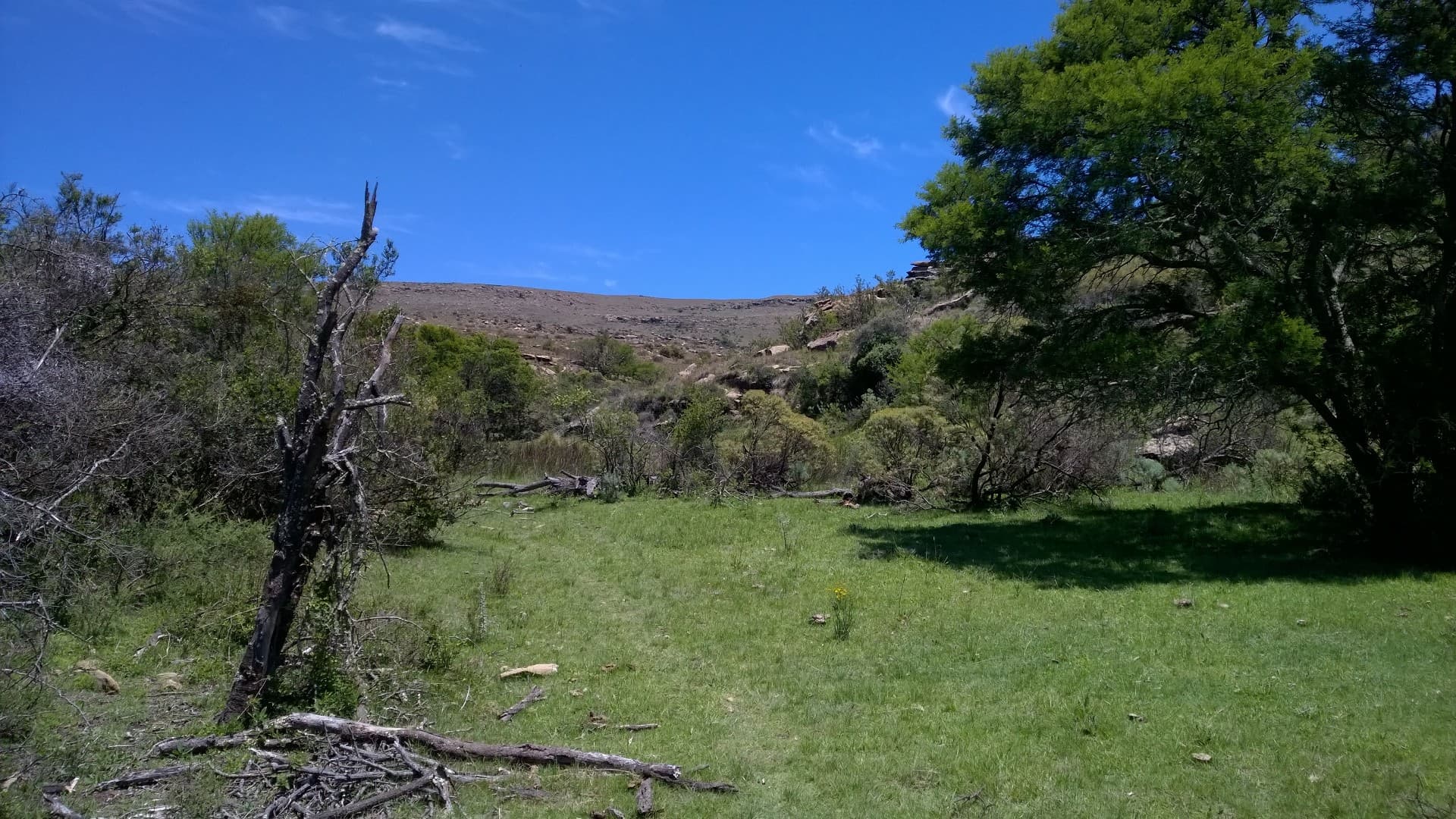 Expansive 1326ha Farm with Development Potential in Sterkstroom