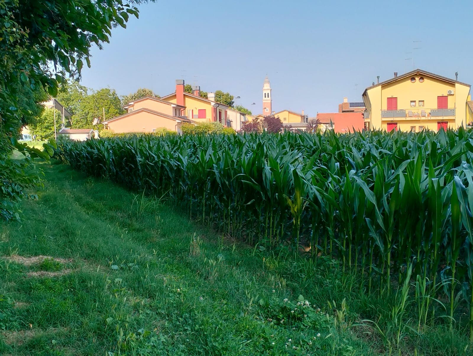 Excellent Plot of land for sale in Silvelle di Trebaseleghe Padua Veneto Italy
