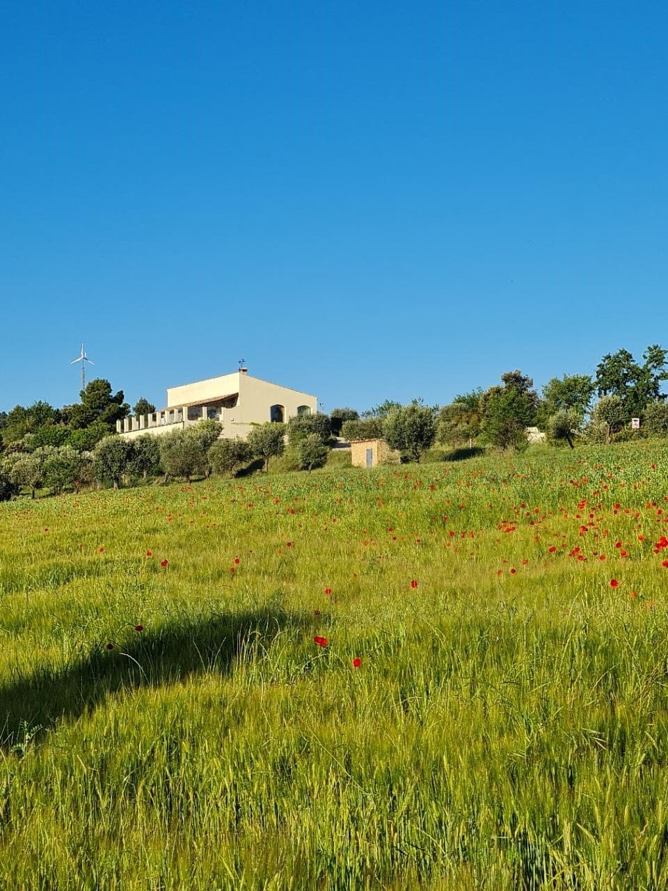 Luxury 3 Bed Villa For Sale Near Valderrobres Aragon Spain