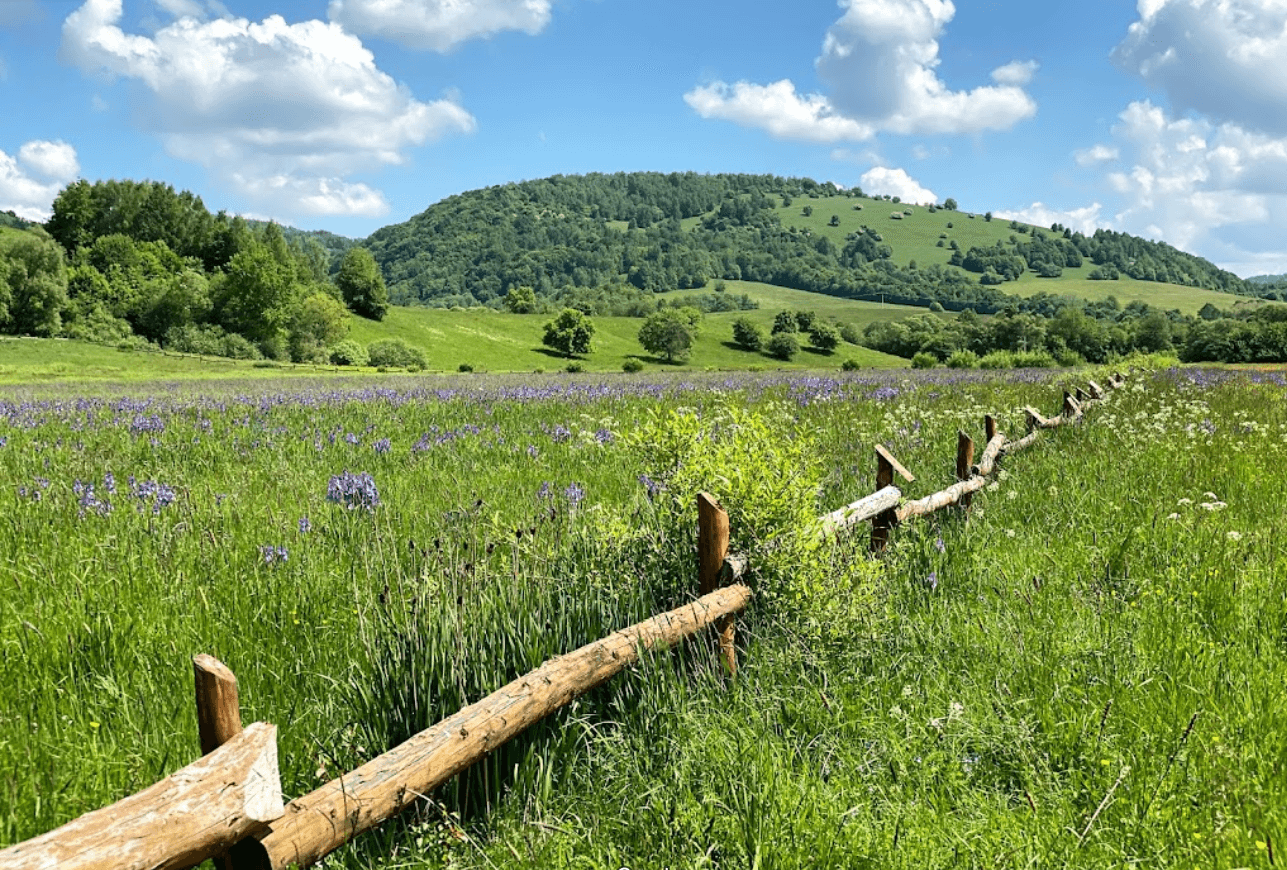 Excellent Plot of land for sale in Hostovice Slovakia