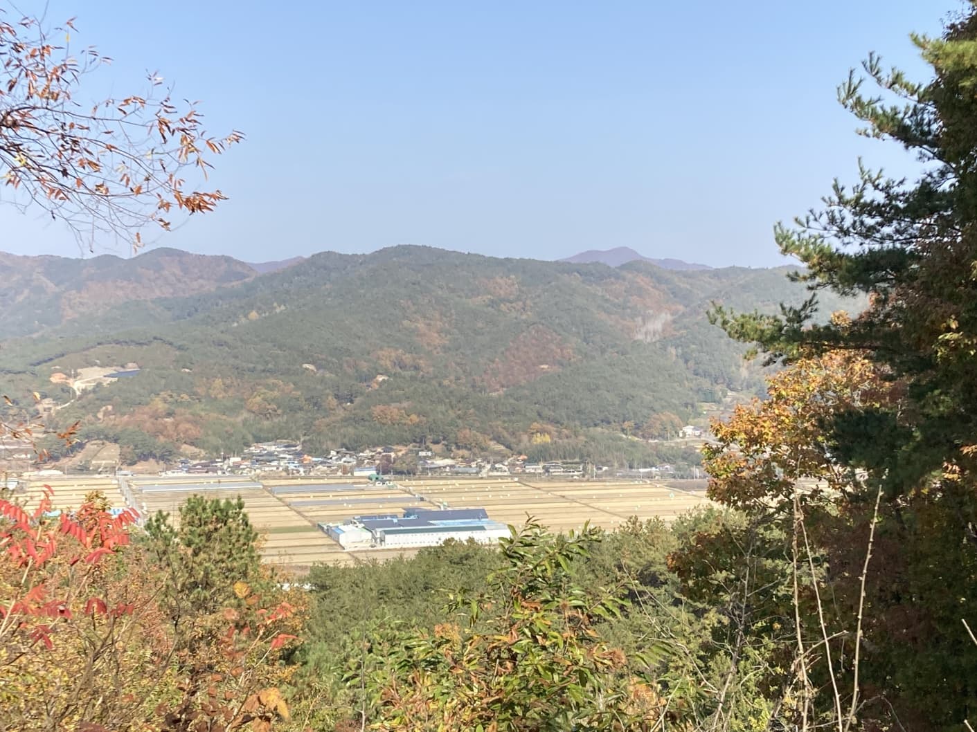 Excellent Plot of land for sale in Boseong-gun South Korea