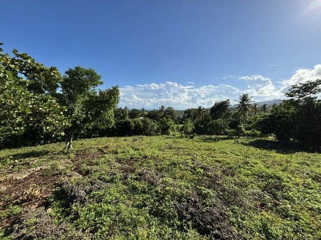 Excellent Plot of land for sale in Las Galeras, Samana Dominican Republic