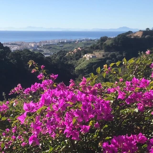 Stunning 3 bed La Casa de la Panzona Finca For Sale in Estepona Spain
