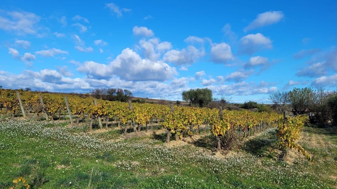 Flat Building Plot Of 1643 M2 In A Lovely Location With Views.