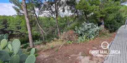 Rustic Finca with Panoramic Views in Montuïri