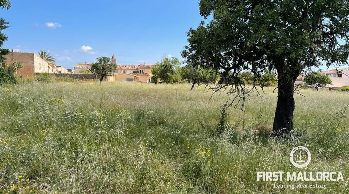 Large Residential Development Plot in Consell