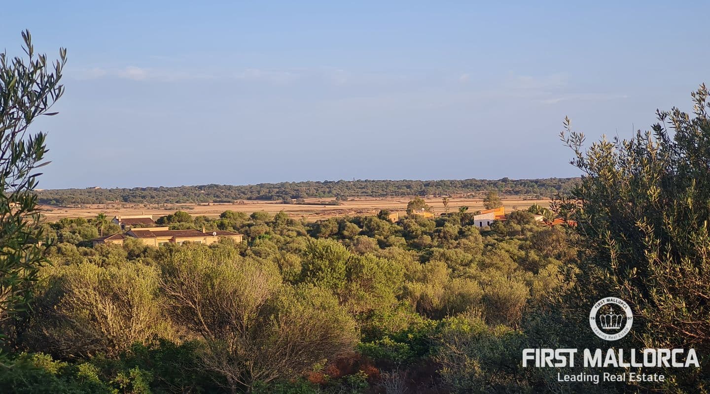Expansive Building Plot Near Santanyí