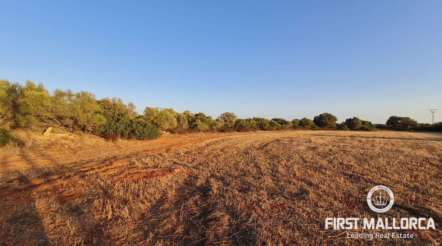 Generous Plot with Basic Project Minutes from Santanyí
