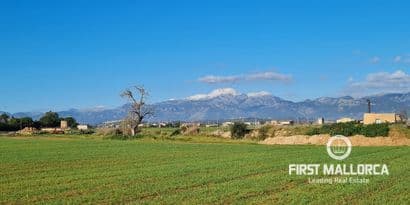 Renovation Opportunity: Spacious Four-Bedroom Townhouse in Sa Pobla