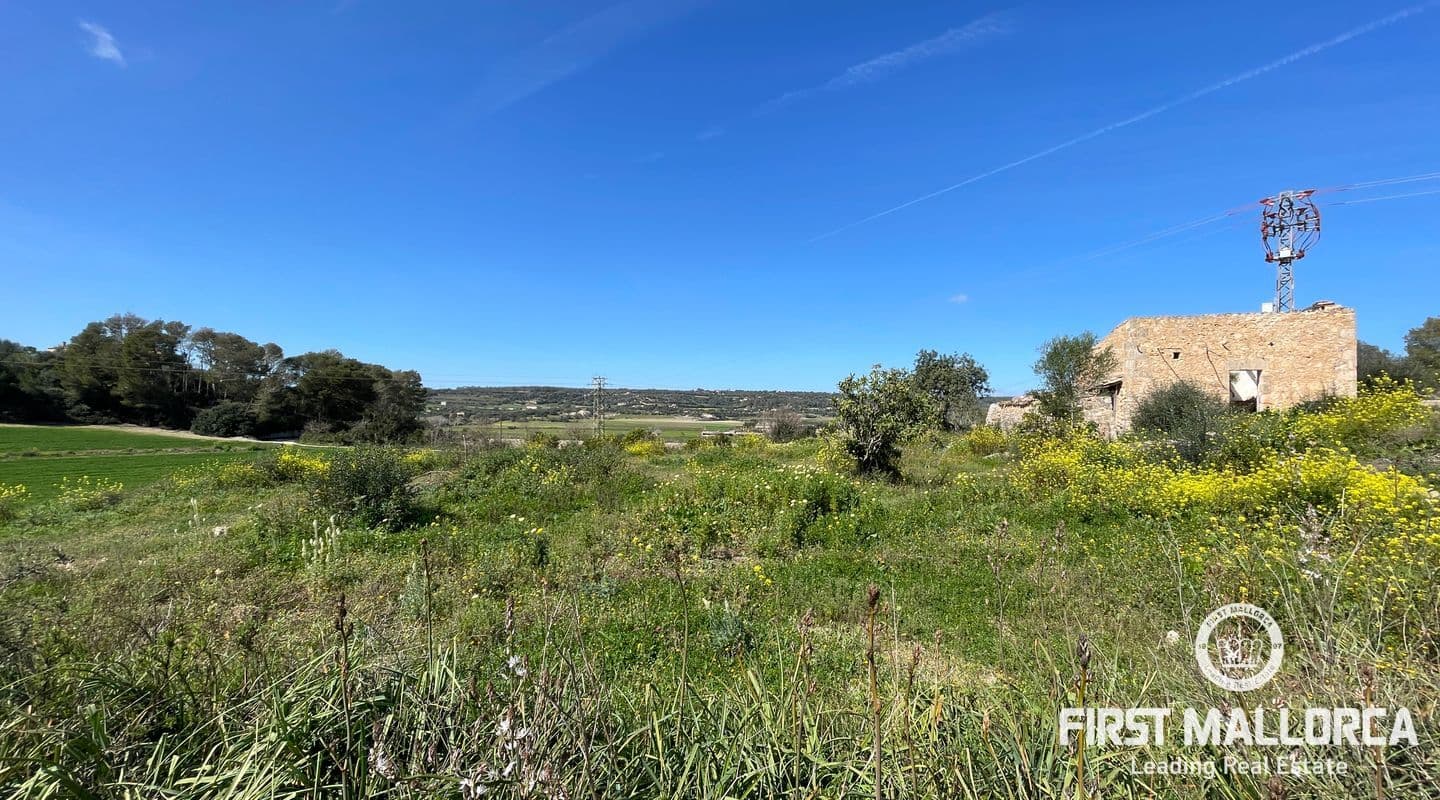 Spacious Building Plot with Panoramic Views in Manacor