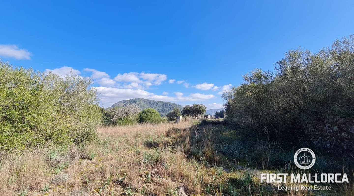 Expansive Rural Plot in Crestatx, Near Pollensa