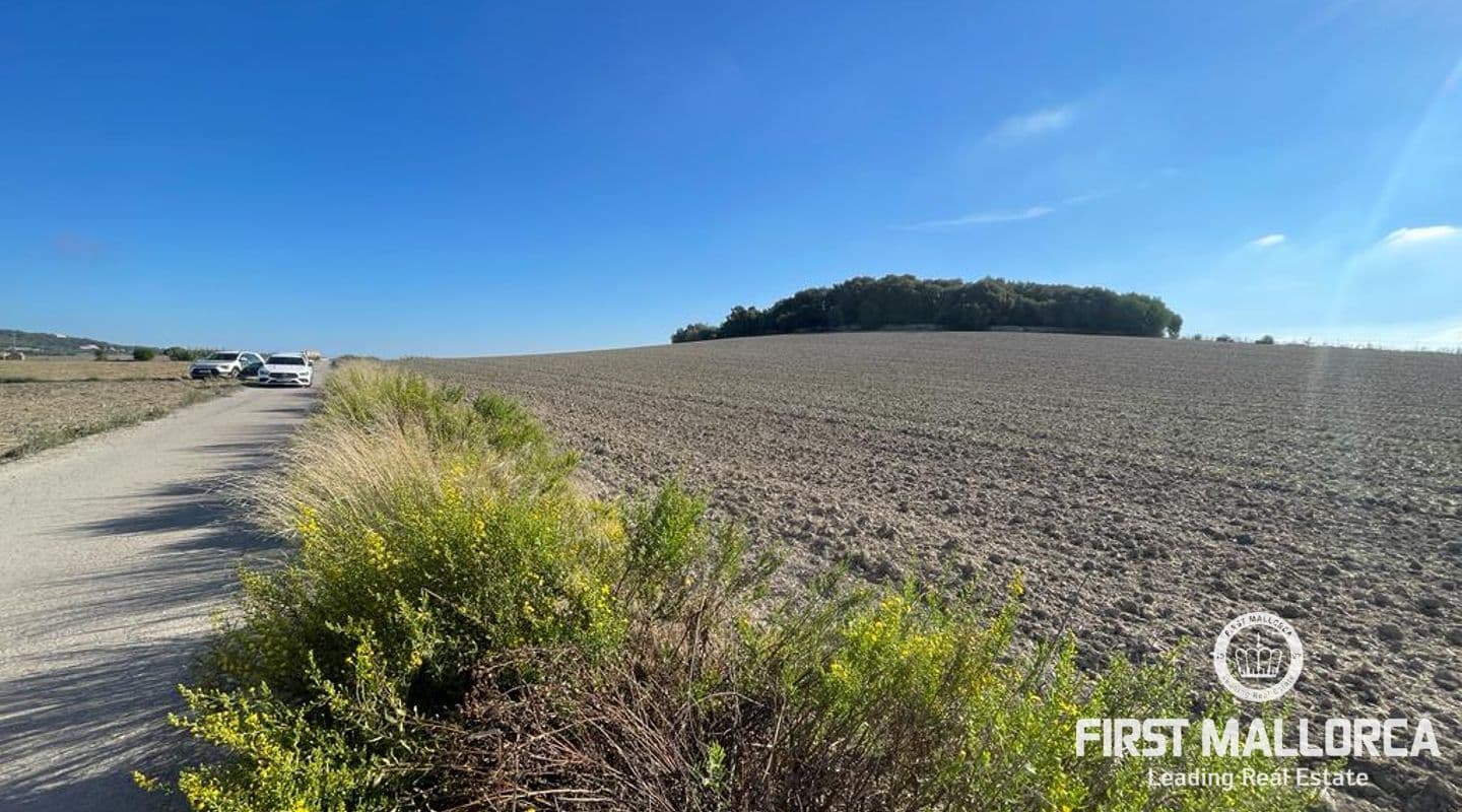 Villa Plot with License for Family Home in Maria de la Salut