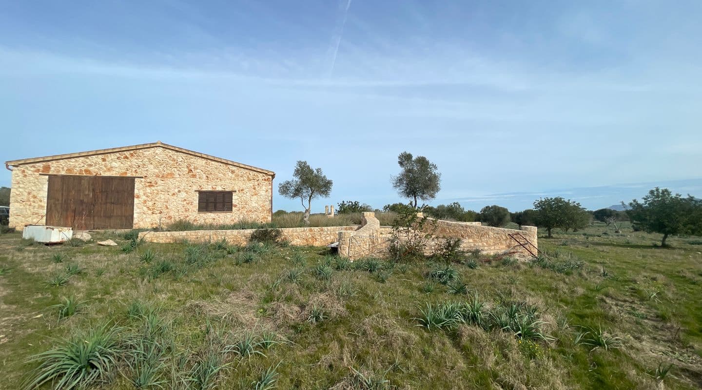 Expansive Finca with Building Potential in Maria de la Salut