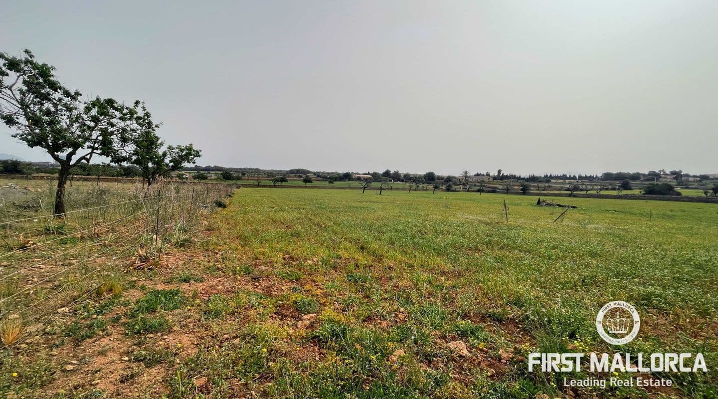 Expansive Building Plot with Sea Views in Son Baulo, Santa Margalida