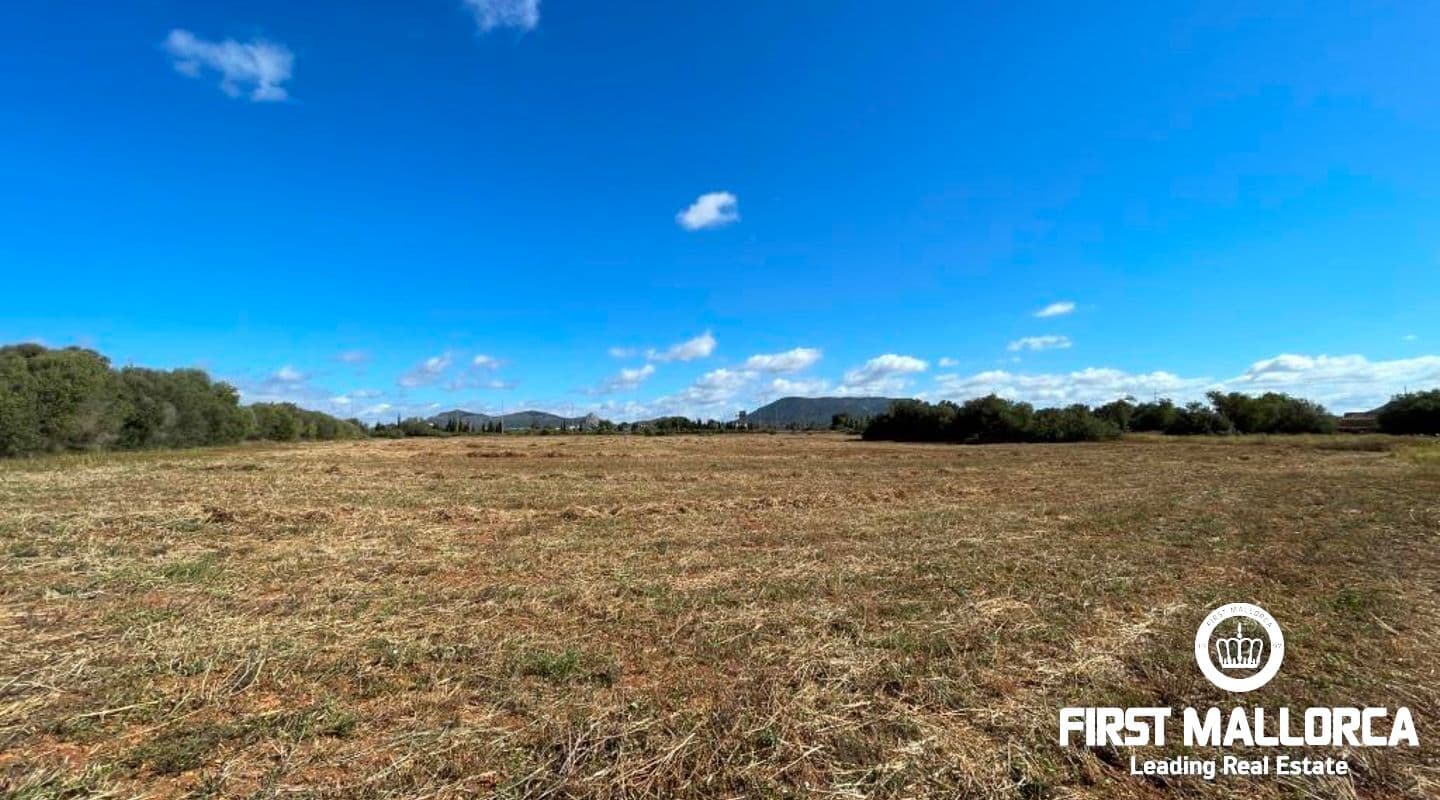 Spacious Plot for Luxury Finca Project in Llucmajor