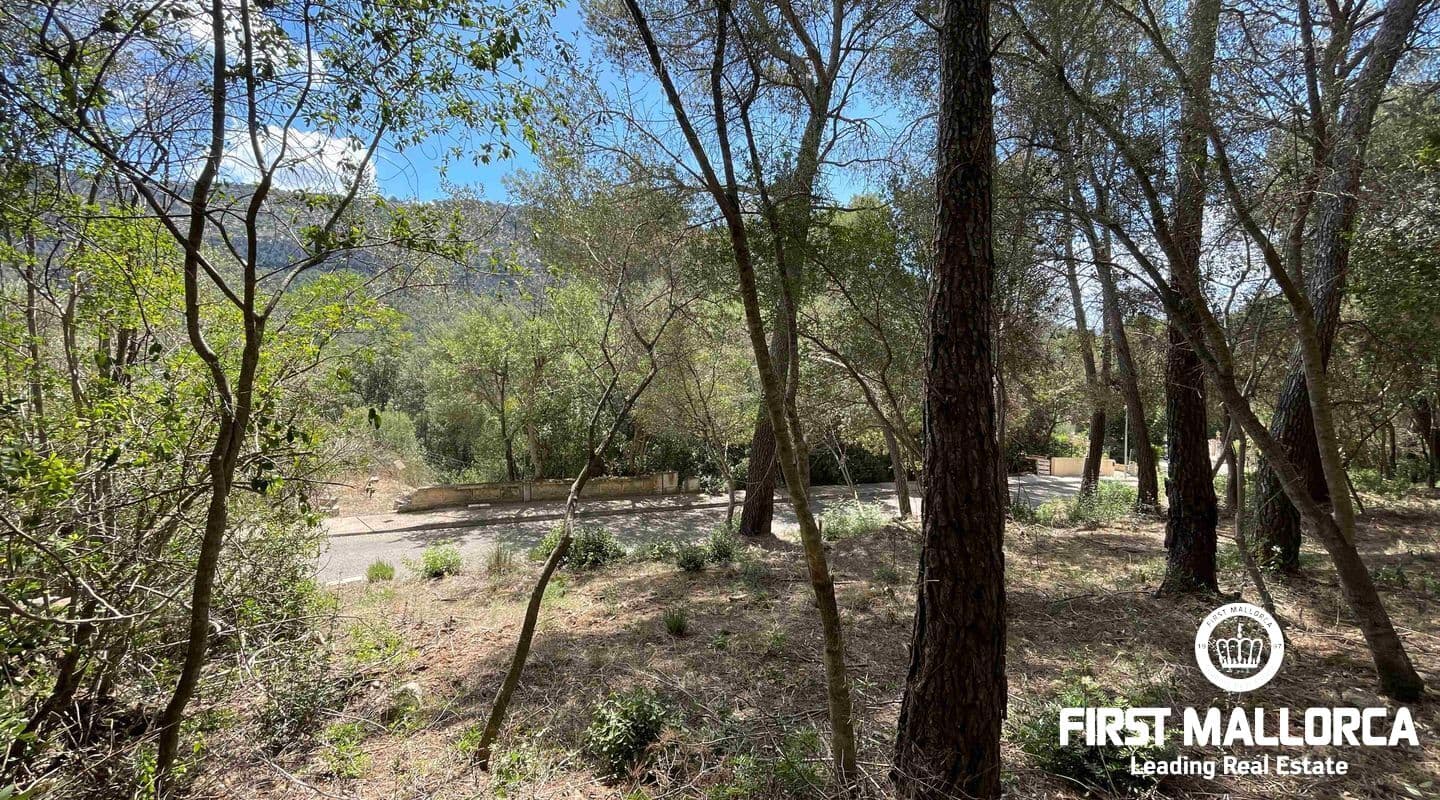 Building Plot with Panoramic Views in Crestatx