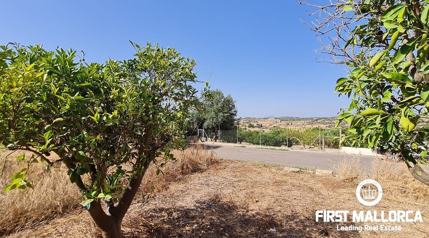 Plot with Project for Modern Home in Santa Margalida
