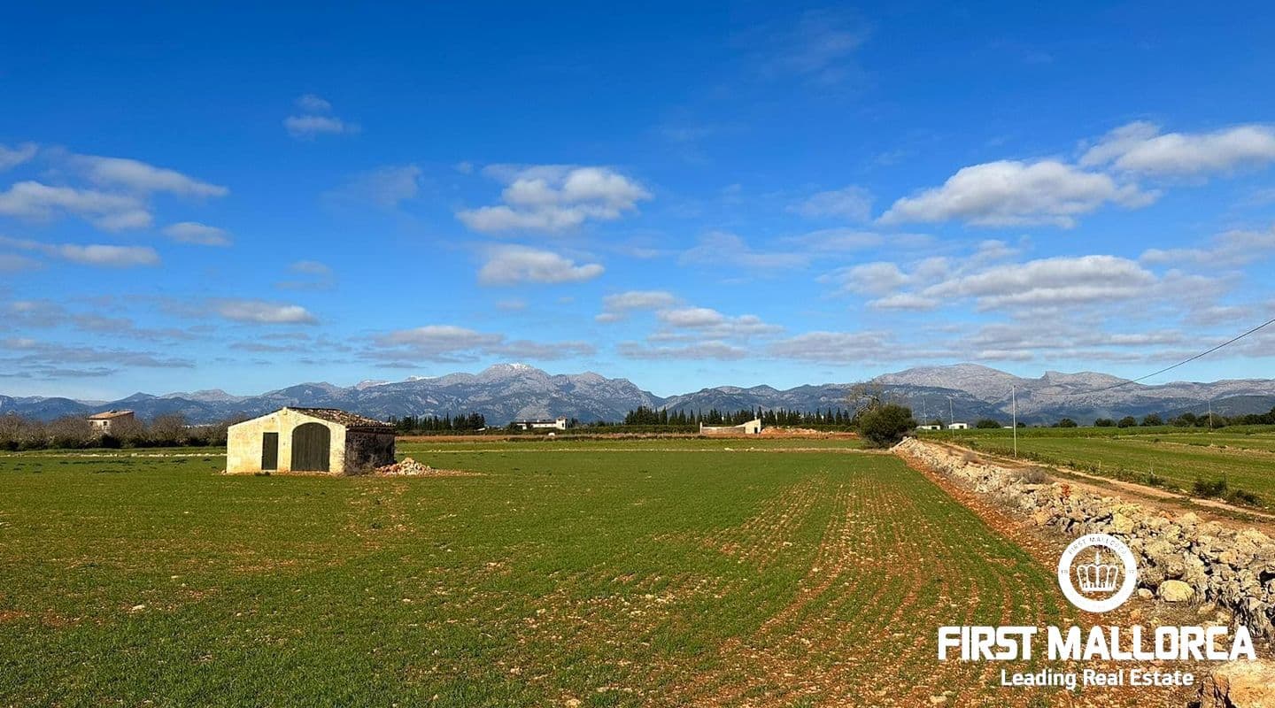 Expansive Plot of Land with Mountain Views in Llubí