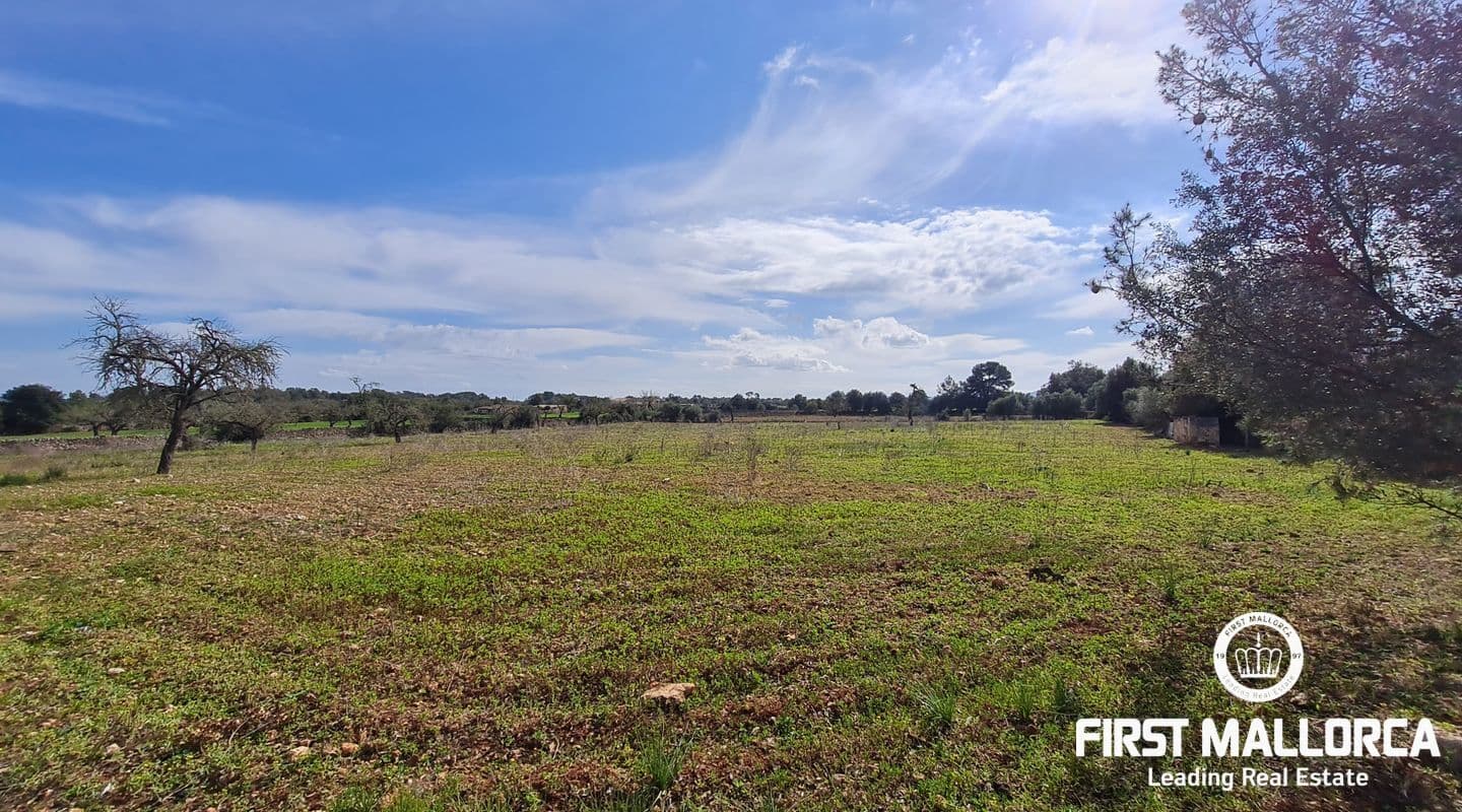 Rustic Plot with Stunning Mountain Views in Pina