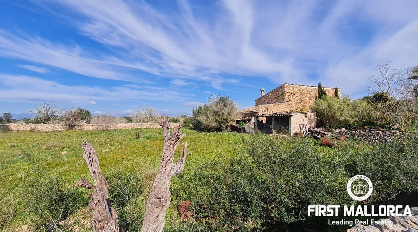 Rustic Plot with Scenic Views near Algaida