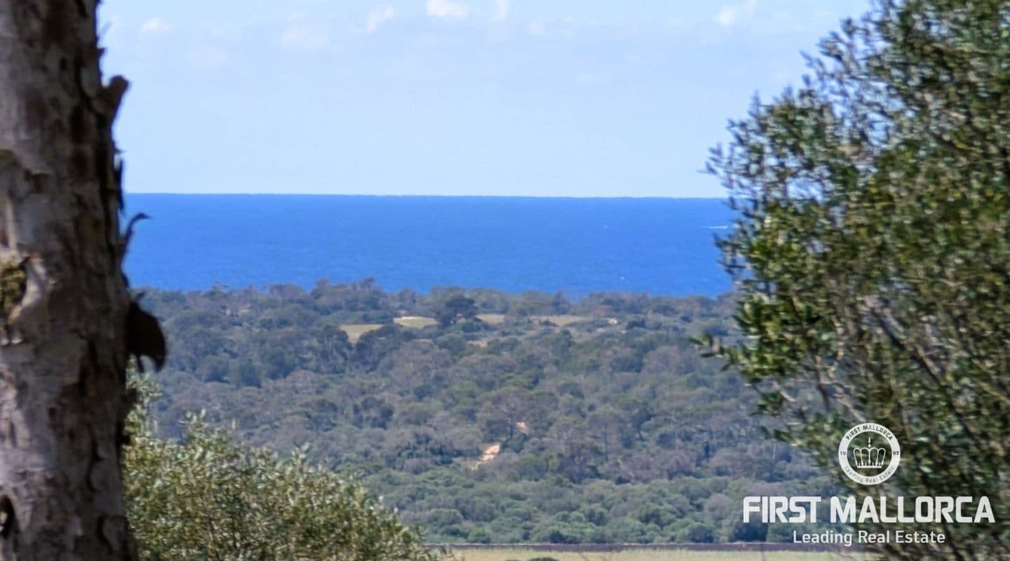 Spacious Rustic Plot with Sea and Nature Views in Ses Salines