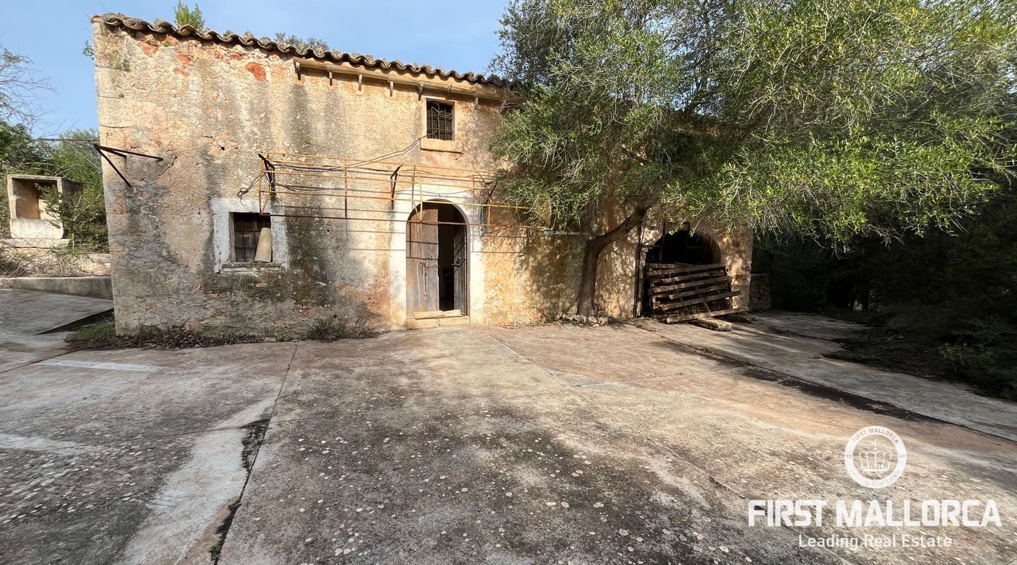 Expansive Rustic Plot with Stunning Tramuntana Views in Llubí