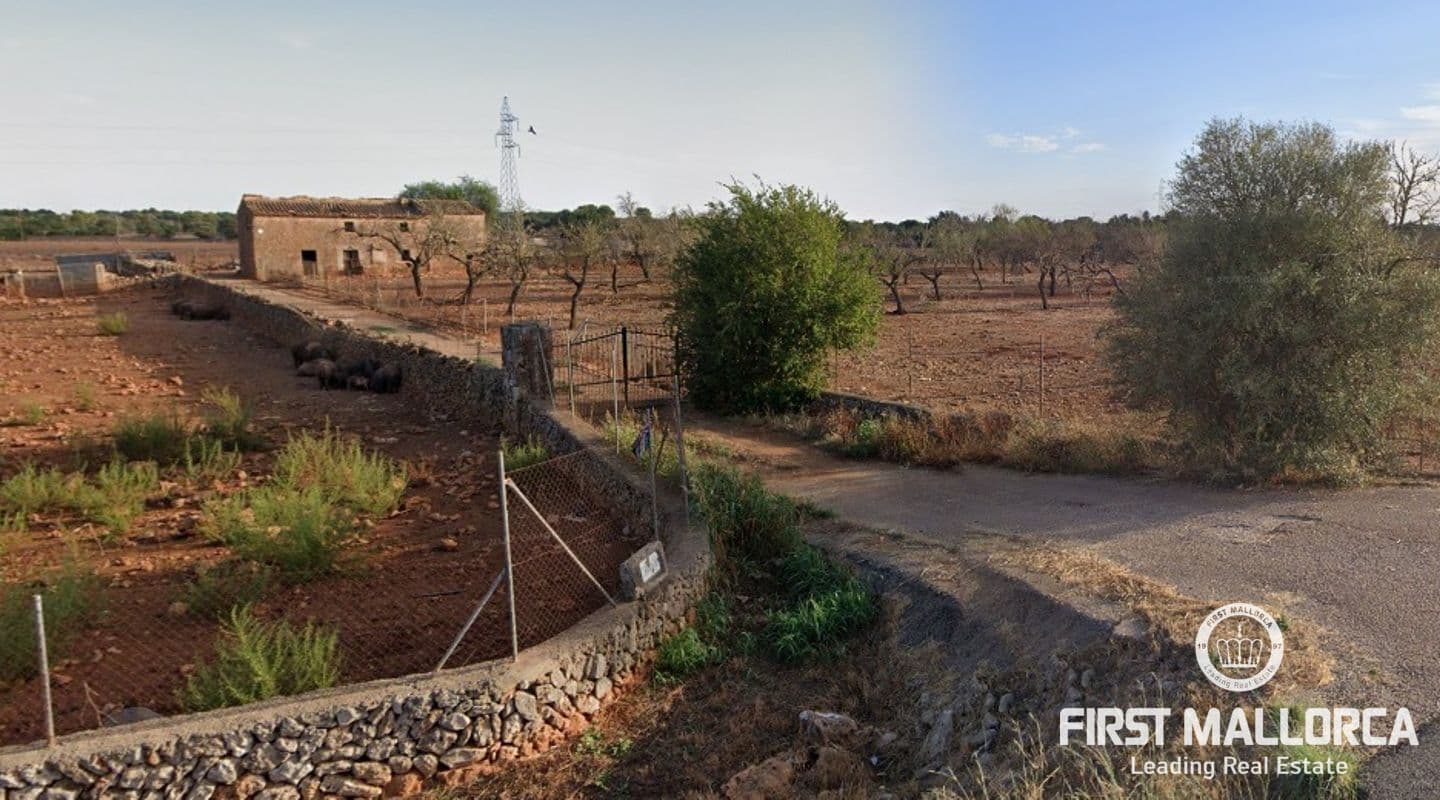 Vast Rustic Estate with 88.80 Hectares in Algaida, Mallorca