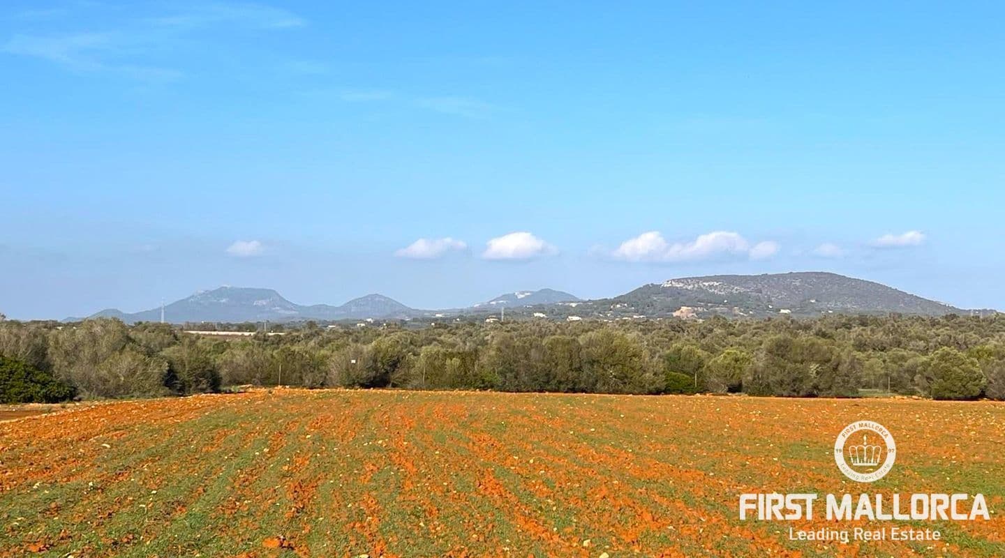Massive Building Plot with Scenic Views near Santanyí