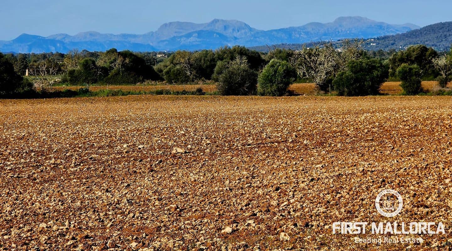 Two Adjacent Building Plots in East Mallorca