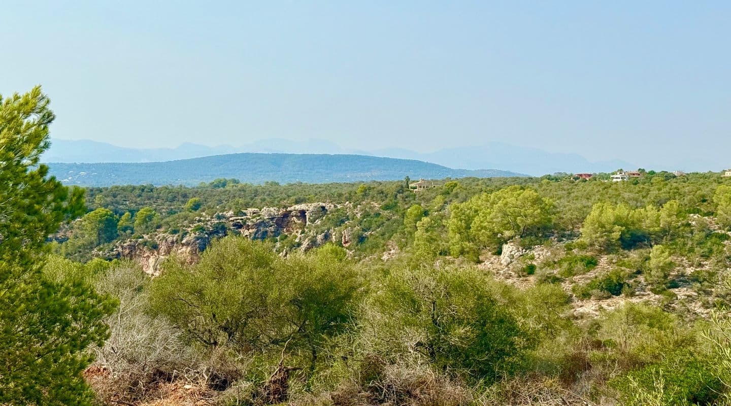 Exclusive Five-Bedroom Villa Project in Son Gual II